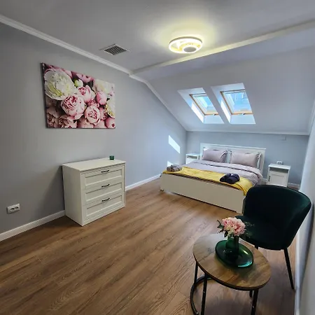 Center -m * Cluj-Napoca