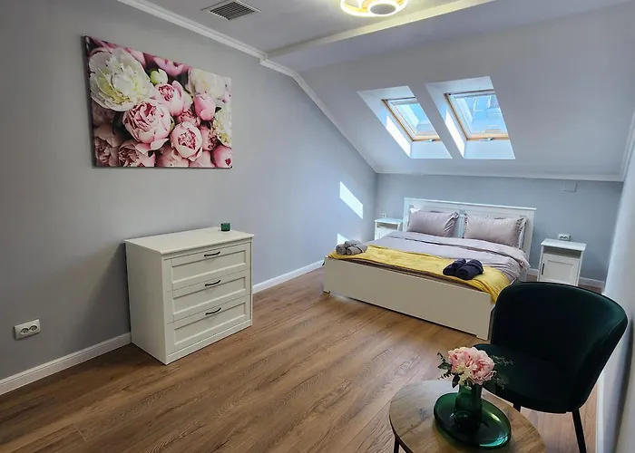 Center -m * Cluj-Napoca